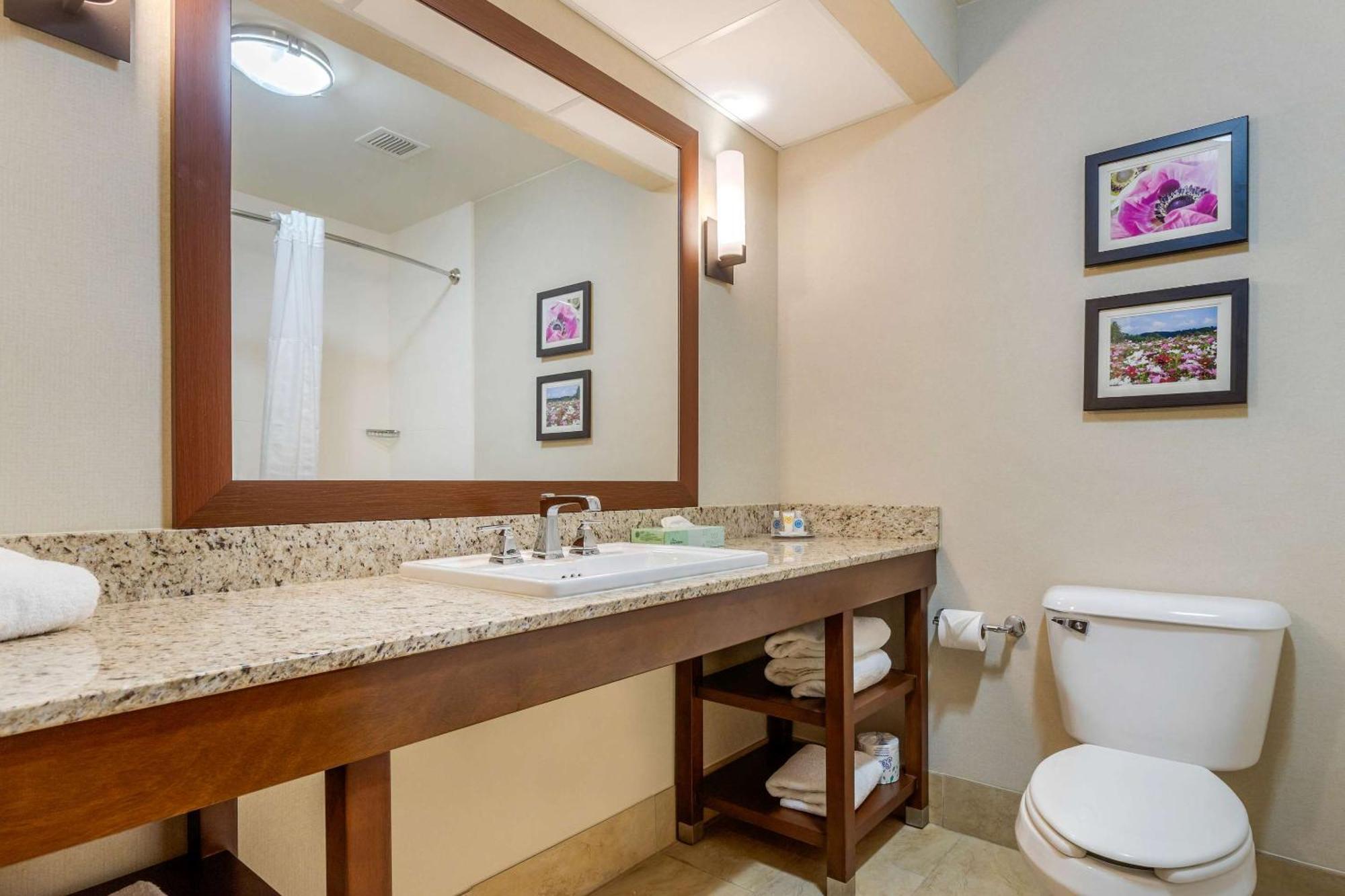 Comfort Suites Gastonia - Charlotte Dış mekan fotoğraf